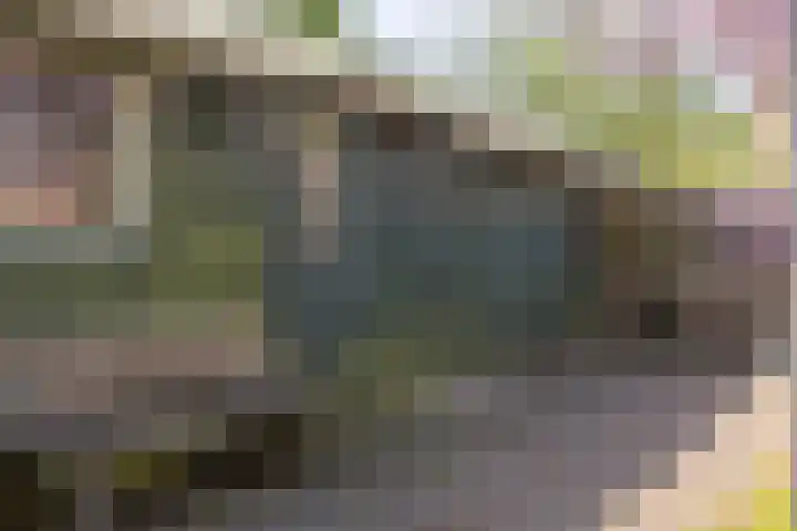Wieselseweg 29 Wenum Wiesel thumbnail 20