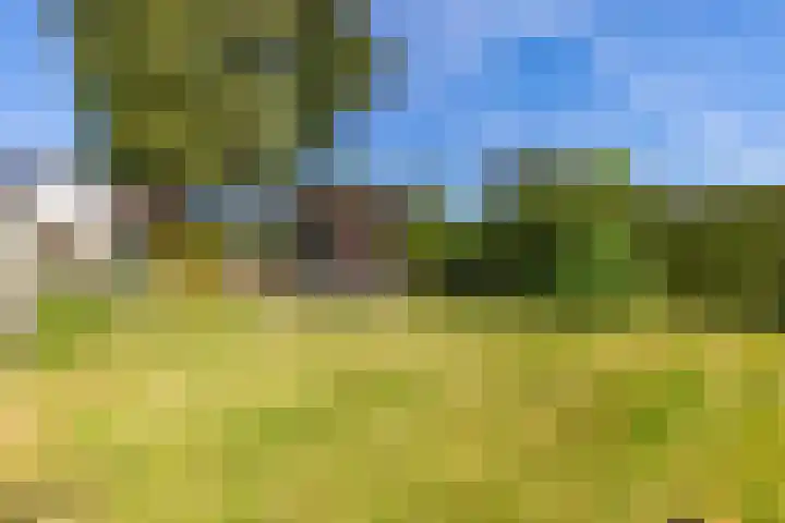 Wieselseweg 29 Wenum Wiesel thumbnail 23