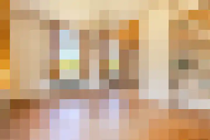 Wieselseweg 29 Wenum Wiesel thumbnail 32