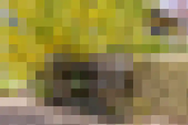 Wieselseweg 29 Wenum Wiesel thumbnail 4