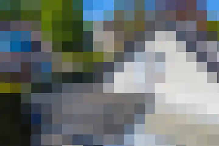 Wieselseweg 29 Wenum Wiesel thumbnail 43