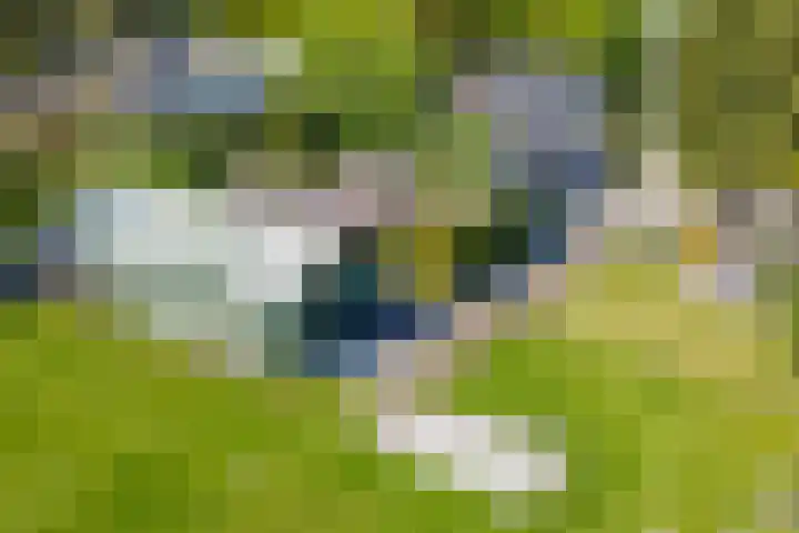 Wieselseweg 29 Wenum Wiesel thumbnail 44