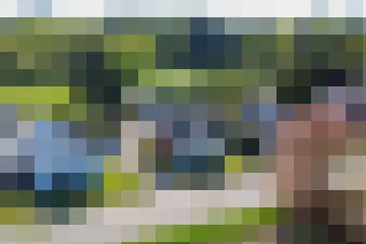 Wieselseweg 29 Wenum Wiesel thumbnail 46