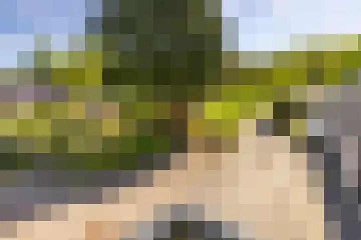 Wieselseweg 29 Wenum Wiesel thumbnail 47