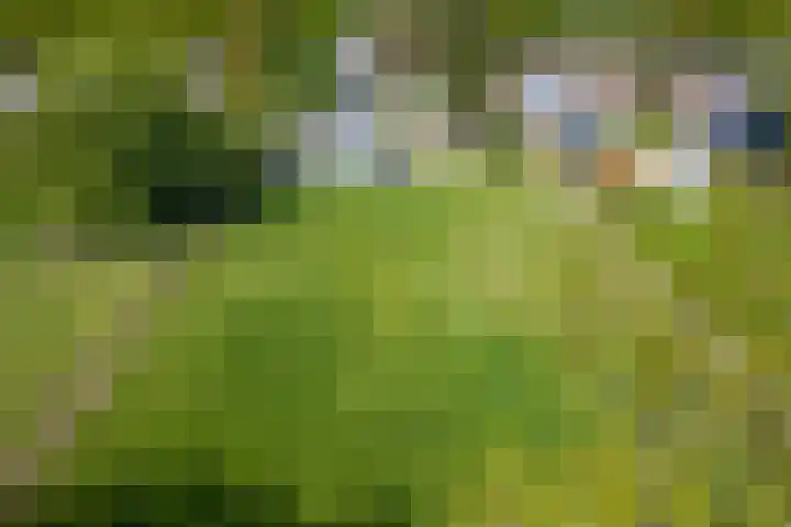 Wieselseweg 29 Wenum Wiesel thumbnail 48