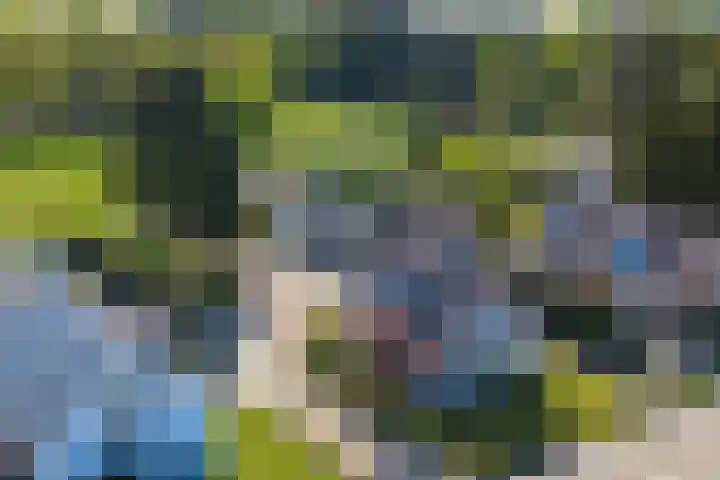 Wieselseweg 29 Wenum Wiesel thumbnail 49