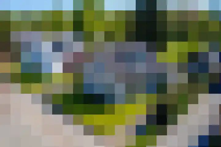 Wieselseweg 29 Wenum Wiesel thumbnail 5