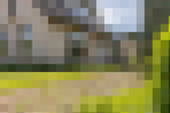 Wieselseweg 29 Wenum Wiesel thumbnail 8