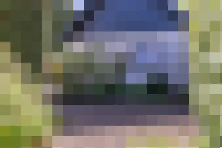 Wieselseweg 29 Wenum Wiesel thumbnail 9