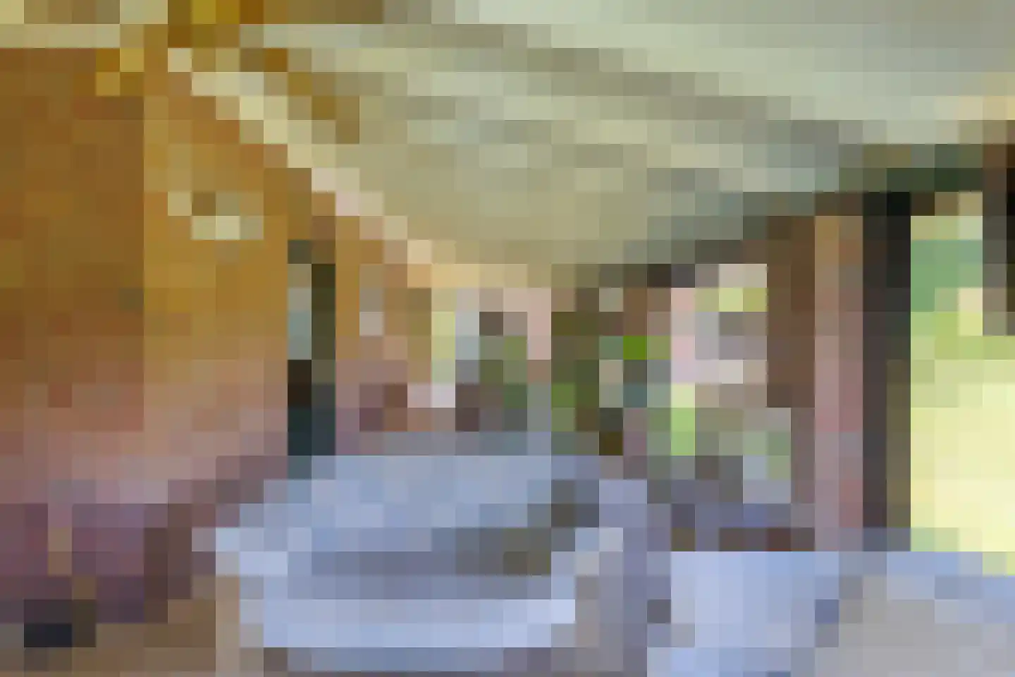 Wieselseweg 54 Wenum Wiesel thumbnail 34
