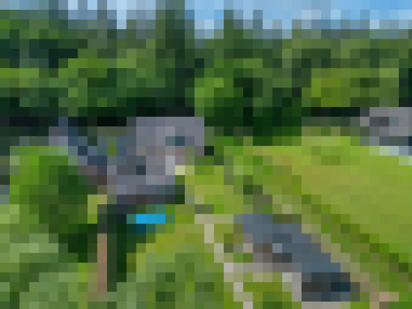 Wieselseweg 54 Wenum Wiesel thumbnail 36