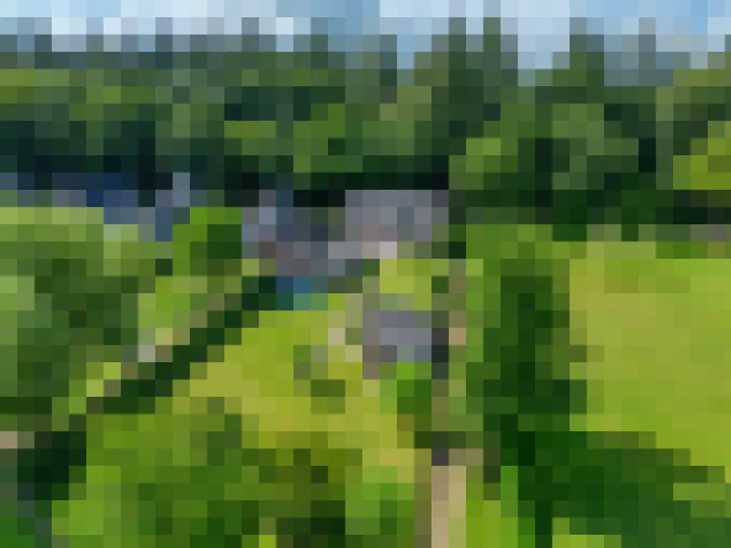 Wieselseweg 54 Wenum Wiesel thumbnail 37