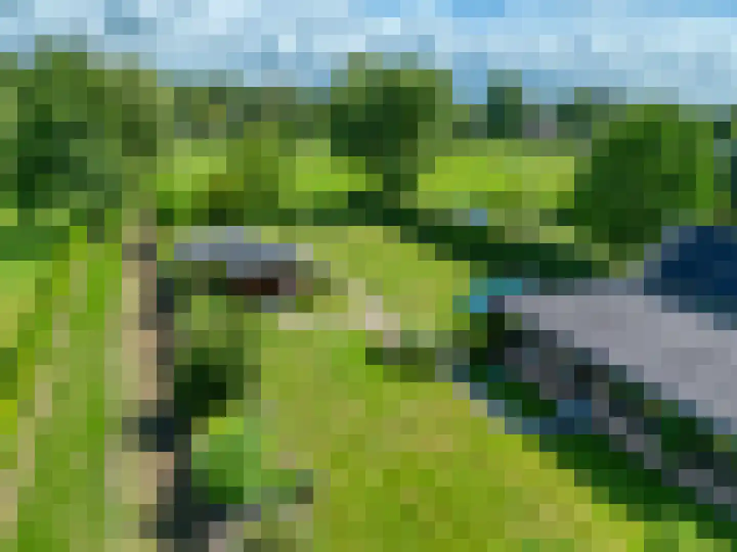 Wieselseweg 54 Wenum Wiesel thumbnail 39