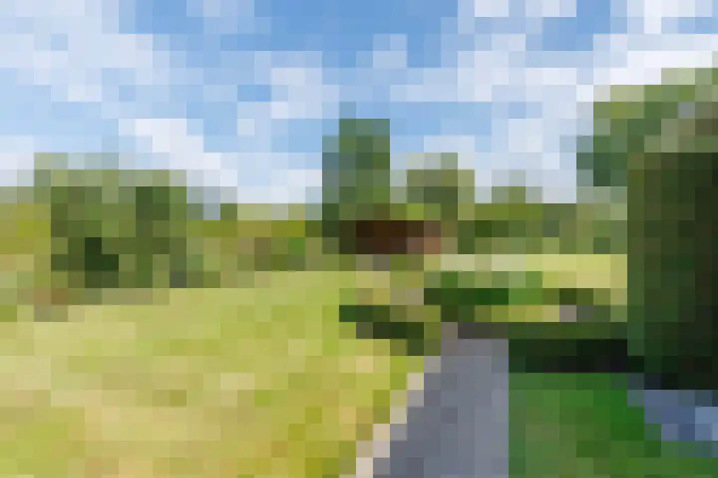 Wieselseweg 54 Wenum Wiesel thumbnail 44
