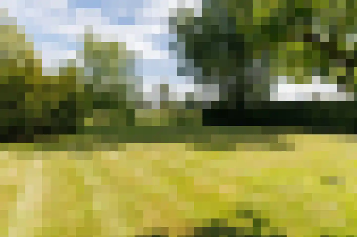 Wieselseweg 54 Wenum Wiesel thumbnail 47