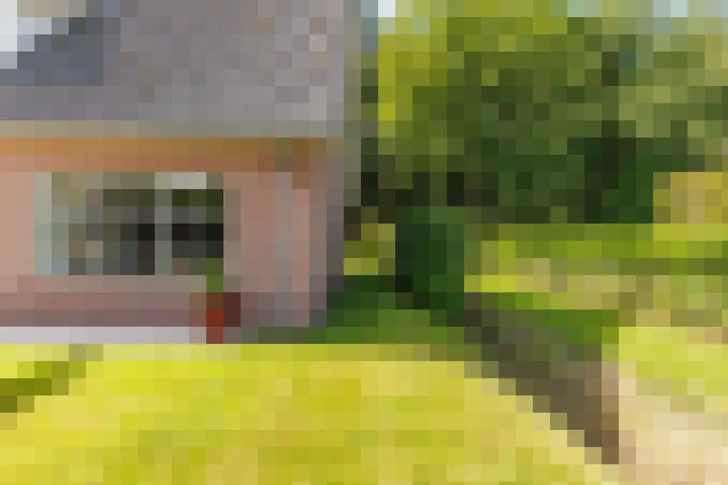 Wieselseweg 54 Wenum Wiesel thumbnail 48