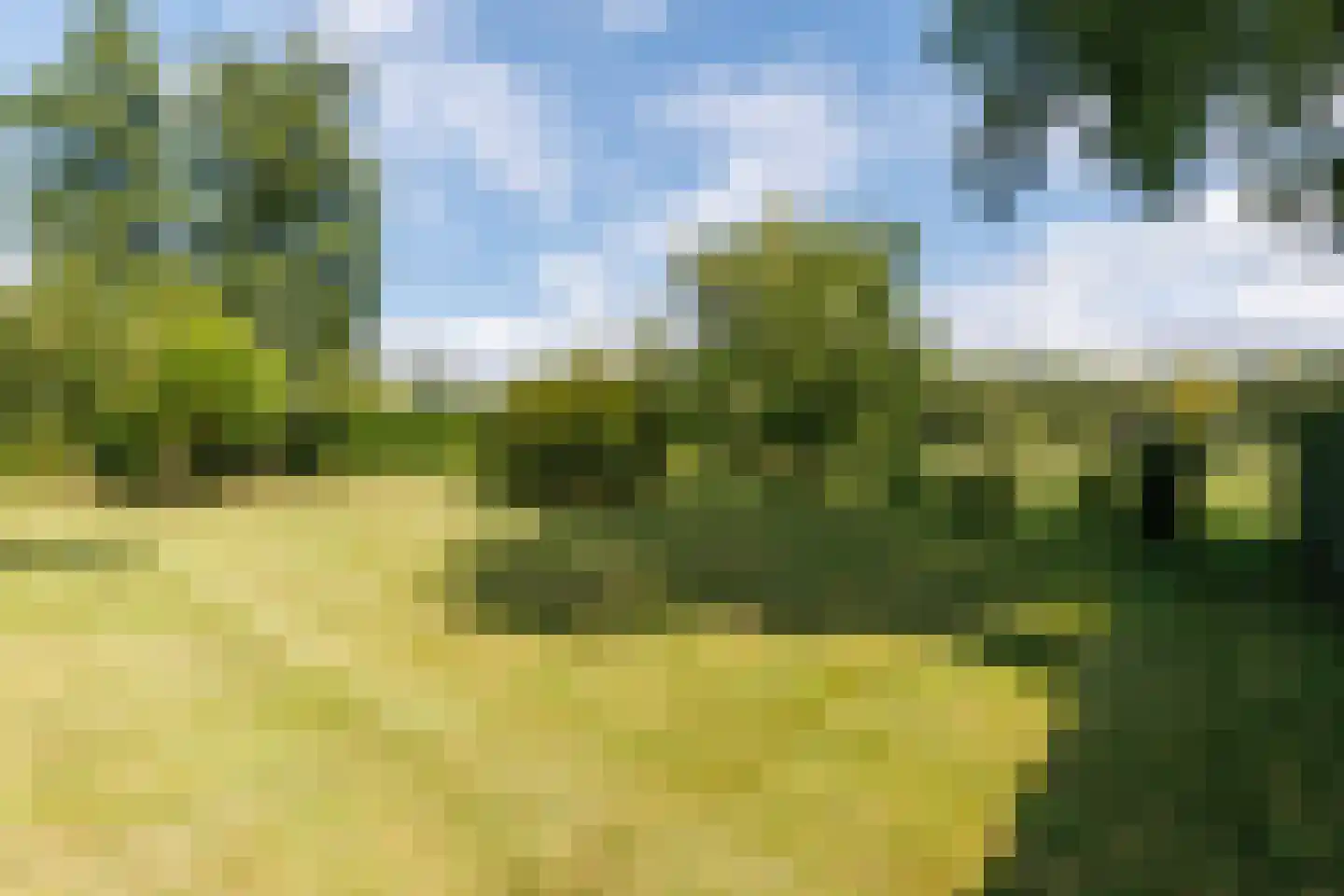 Wieselseweg 54 Wenum Wiesel thumbnail 51