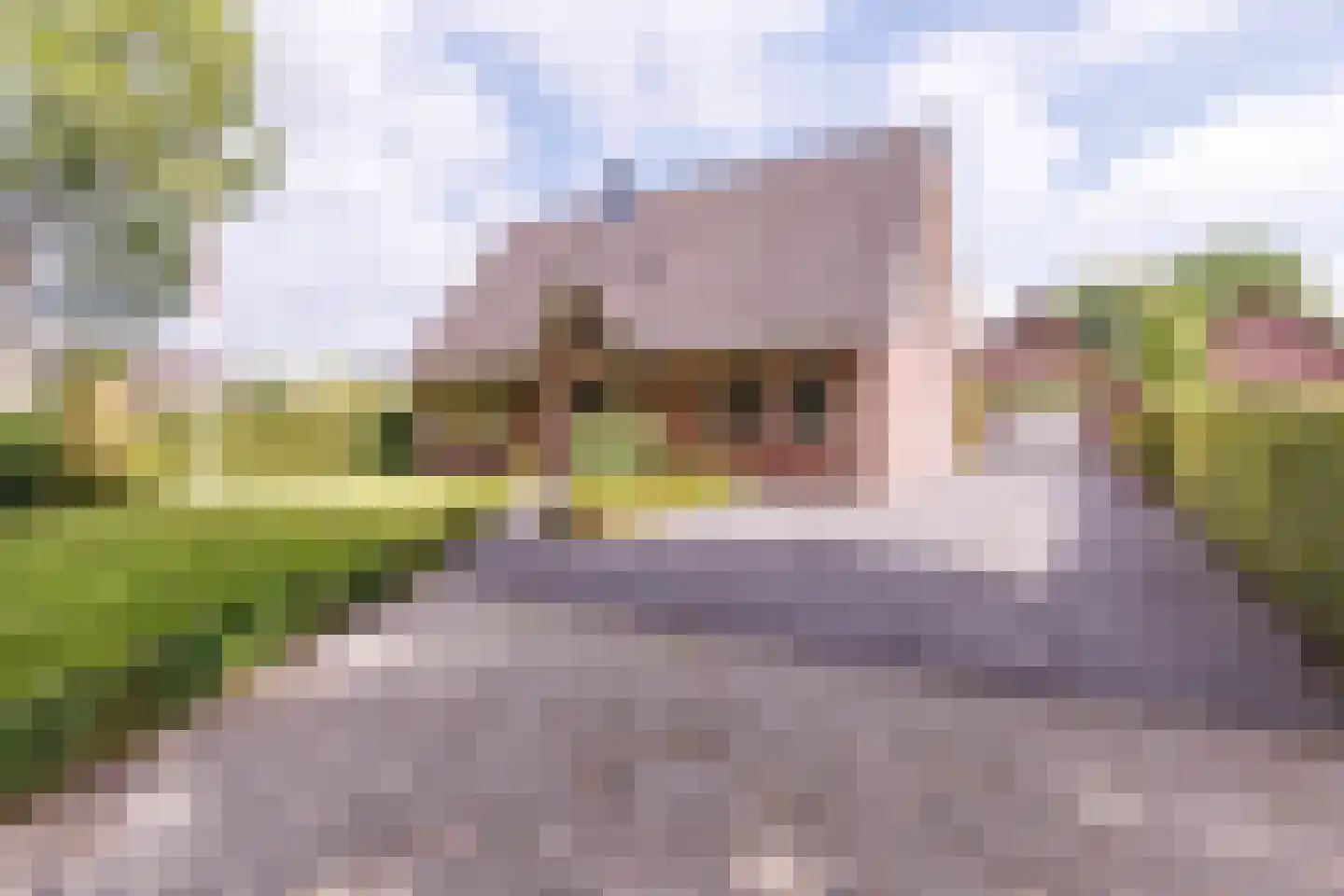 Wieselseweg 54 Wenum Wiesel thumbnail 53