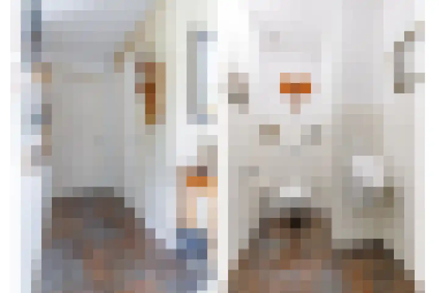 Wieselseweg 54 Wenum Wiesel thumbnail 6