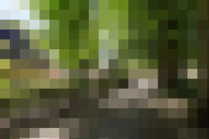 Wieselseweg 90 Wenum Wiesel thumbnail 49