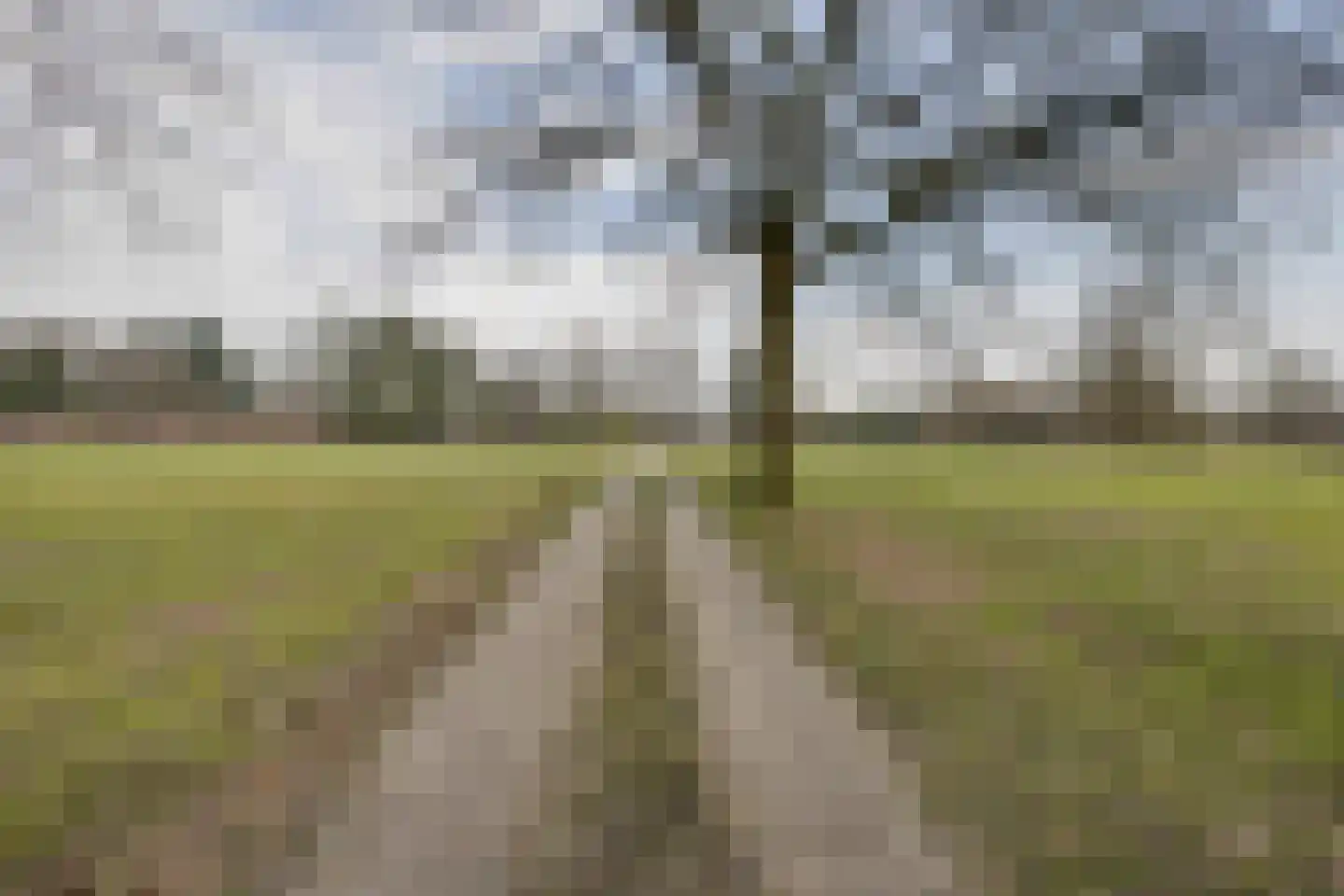 Wieselseweg 92 Wenum Wiesel thumbnail 53