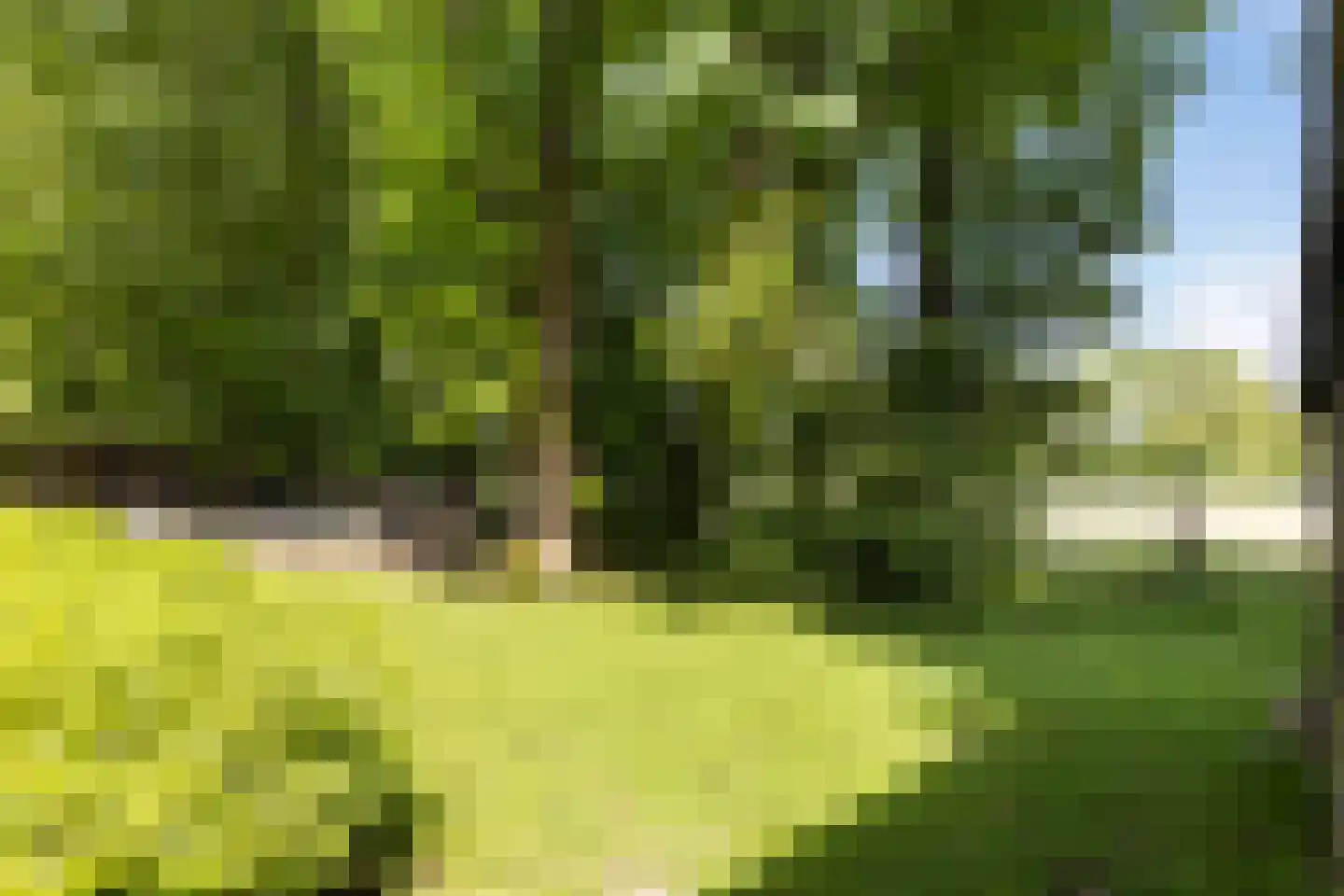 Wieselseweg 92 Wenum Wiesel thumbnail 62