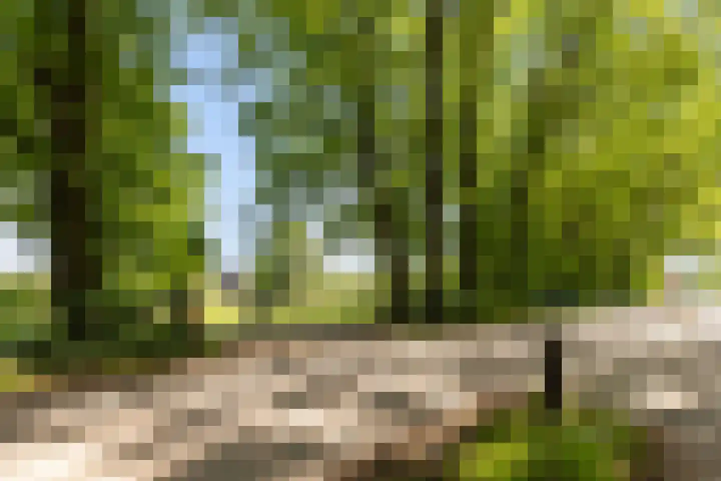 Wieselseweg 92 Wenum Wiesel thumbnail 67