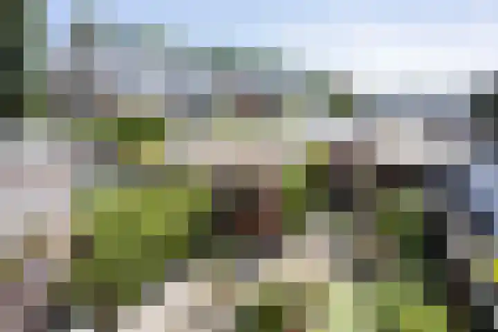 Wigboldstraat 10 Noordwijk thumbnail 15