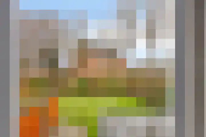 Wigboldstraat 8 Ten Boer thumbnail 34