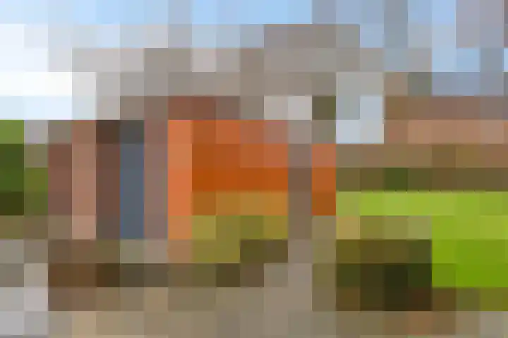 Wigboldstraat 8 Ten Boer thumbnail 42