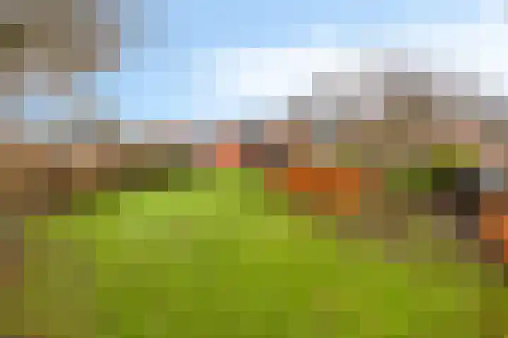 Wigboldstraat 8 Ten Boer thumbnail 48