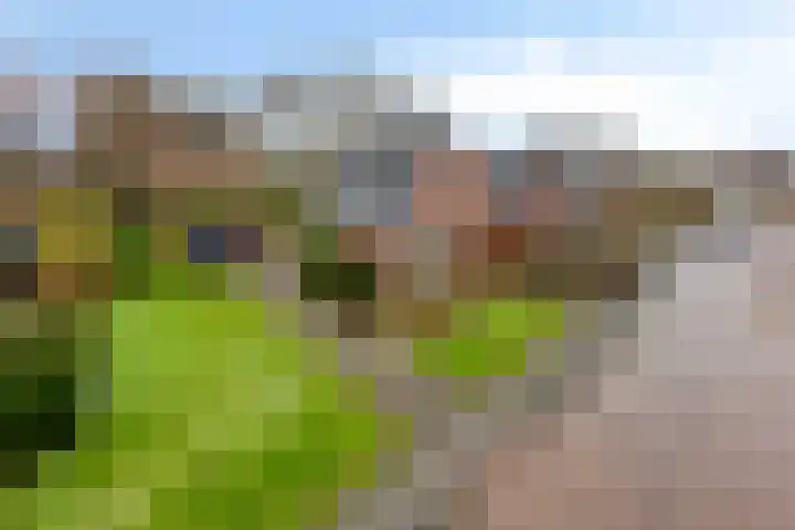 Wigboldstraat 8 Ten Boer thumbnail 6