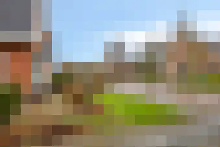 Wigboldstraat 8 Ten Boer thumbnail 8