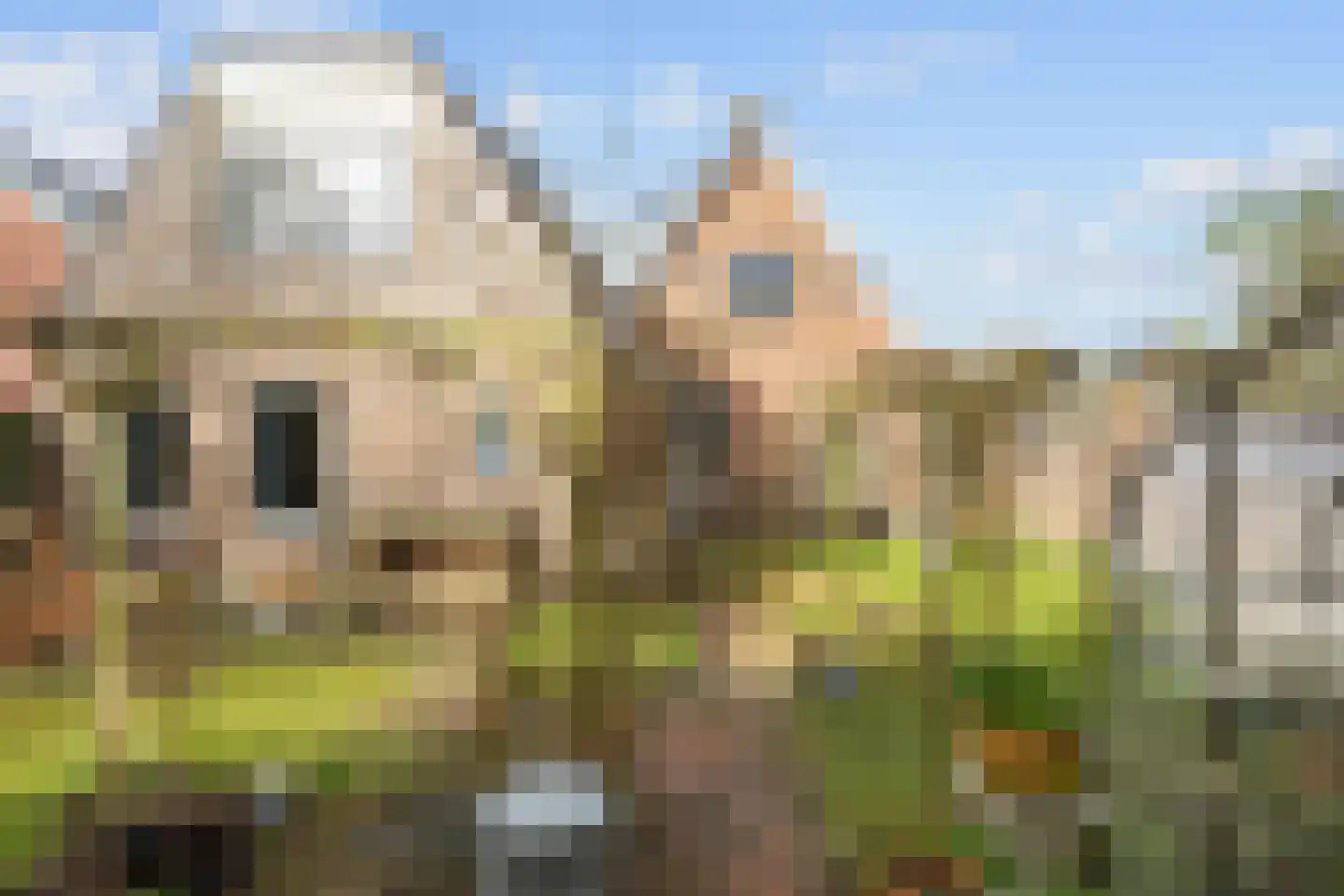 Wigbolt Ripperdastraat 11 Winsum thumbnail 39