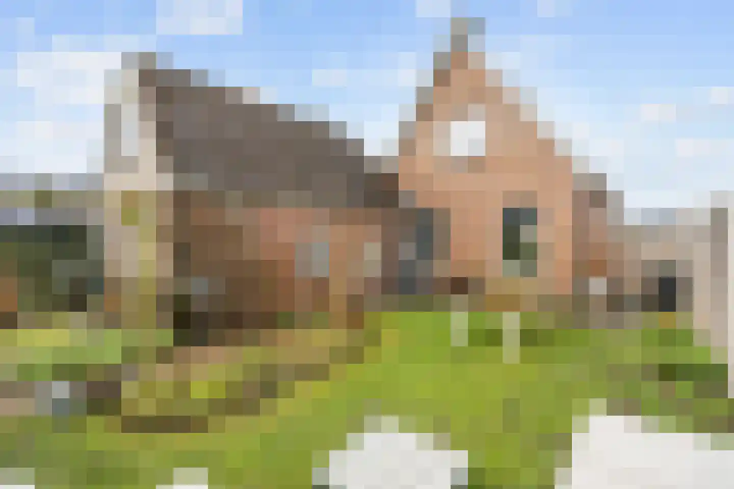 Wigbolt Ripperdastraat 11 Winsum thumbnail 41