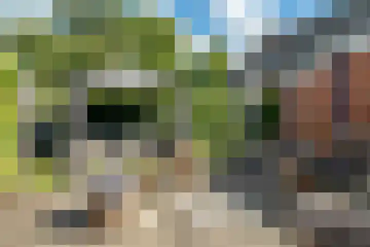 Wigerathorp 5 Gerkesklooster thumbnail 18