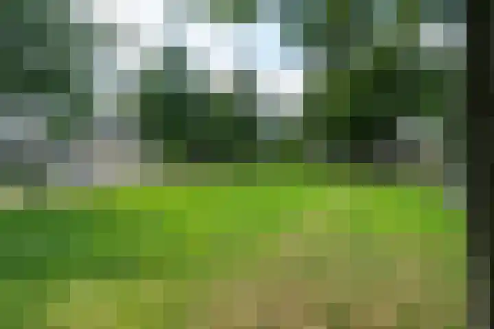 Wigerathorp 5 Gerkesklooster thumbnail 31
