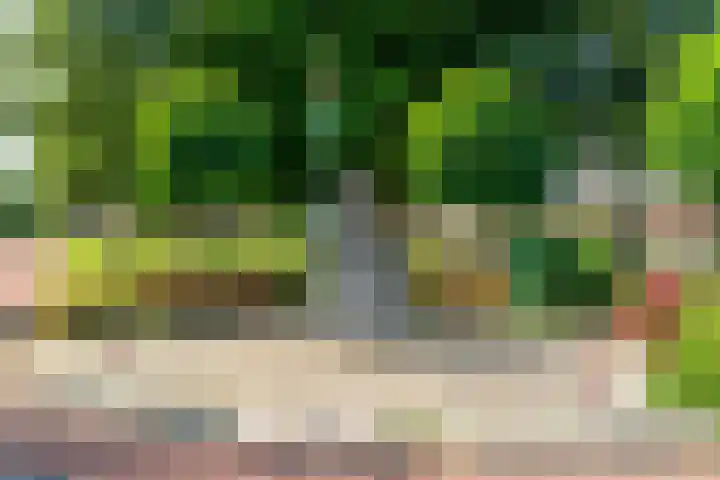 Wigerathorp 5 Gerkesklooster thumbnail 32