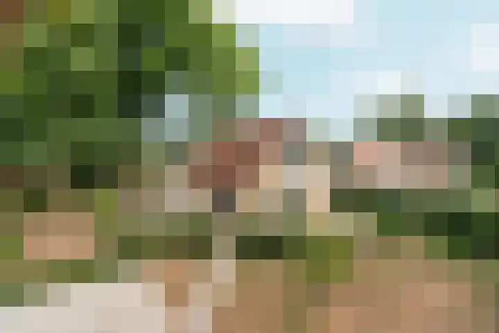 Wighenerhorst 1 Wijchen