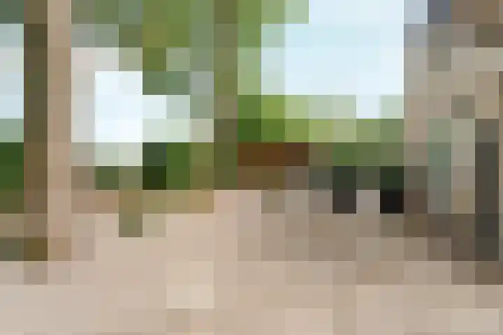 Wighenerhorst 1 Wijchen thumbnail 14