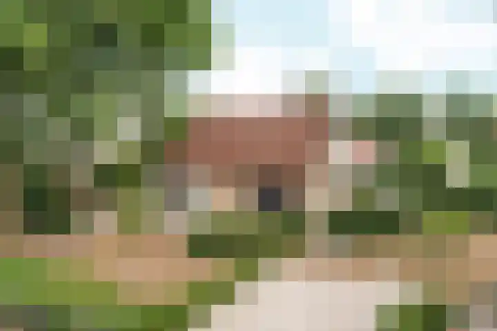 Wighenerhorst 1 Wijchen thumbnail 15