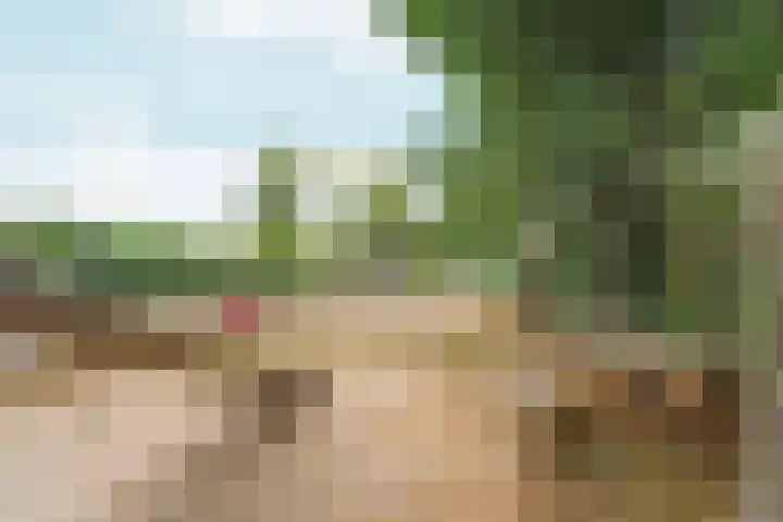 Wighenerhorst 1 Wijchen thumbnail 16
