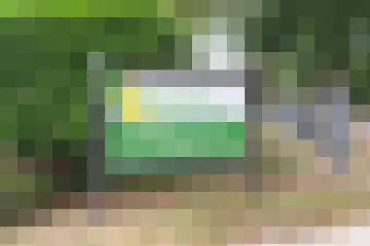 Wighenerhorst 1 Wijchen thumbnail 17