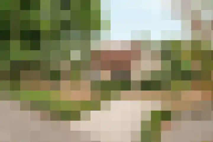Wighenerhorst 1 Wijchen foto 2