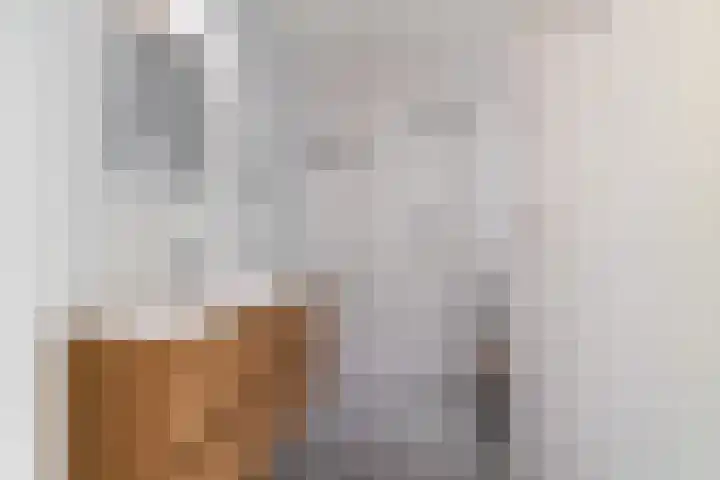 Wighenerhorst 1 Wijchen thumbnail 9