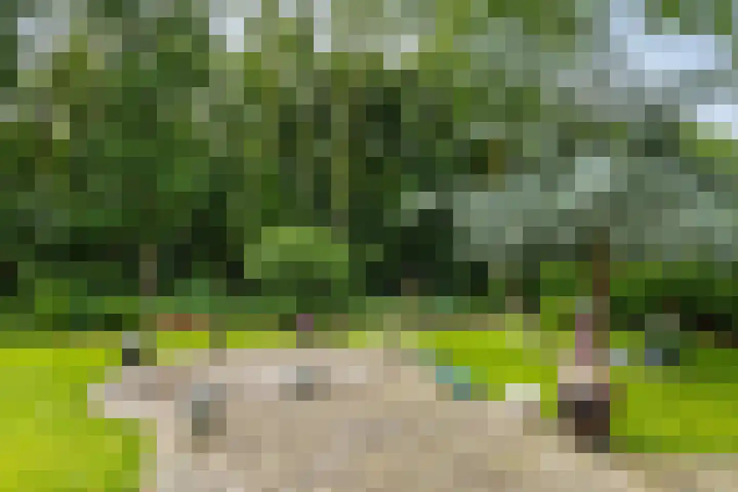 Wighenerhorst 23 Wijchen thumbnail 22