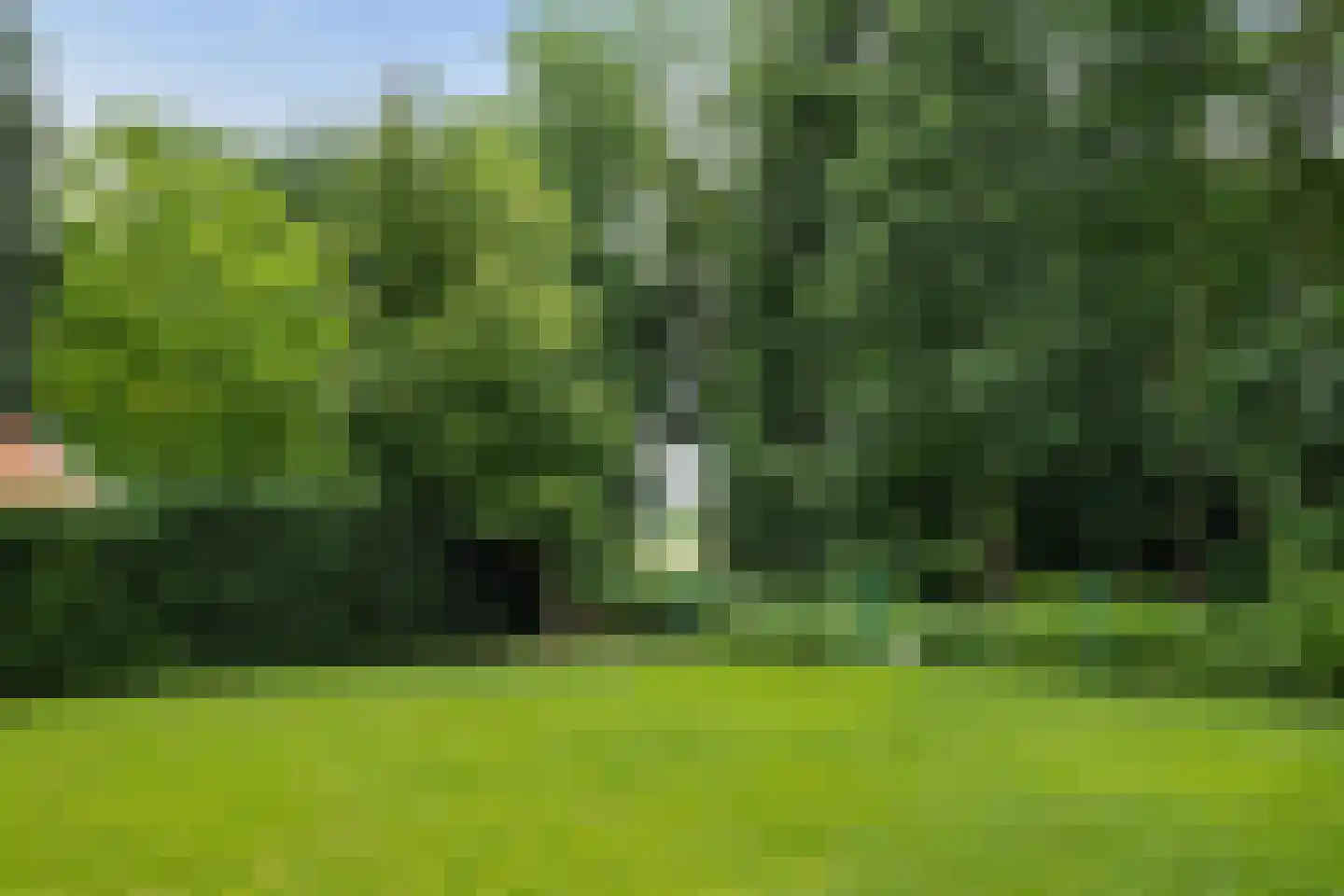 Wighenerhorst 23 Wijchen thumbnail 26