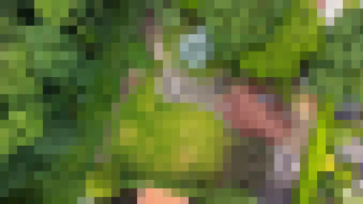 Wighenerhorst 23 Wijchen thumbnail 28