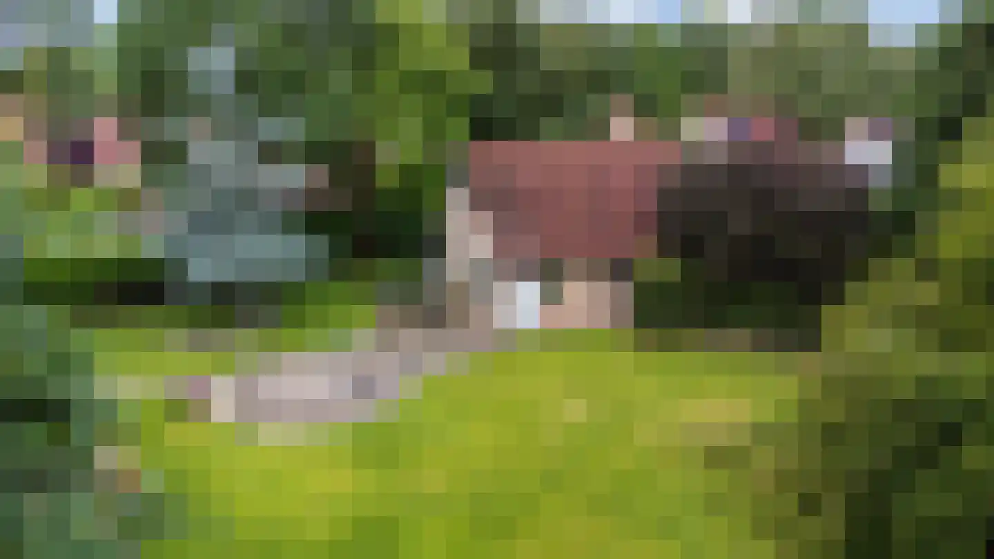 Wighenerhorst 23 Wijchen thumbnail 4