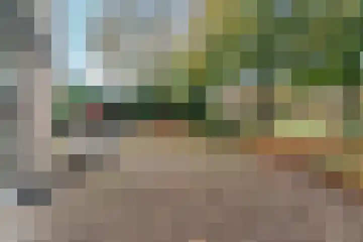Wighenerhorst 49 Wijchen thumbnail 16